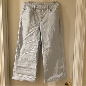 a.n.a Cropped Wide Leg Light Blue Pants